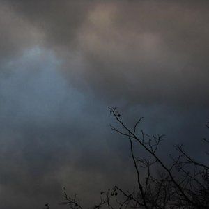 Meet your Posher, Elena